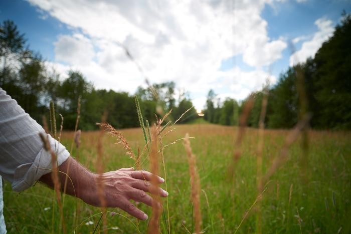 Mensch auf einer Wiese Mensch auf einer Wiese