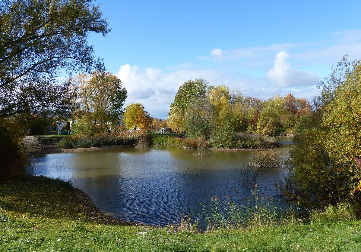 Breitwiesensee in Gerlingen