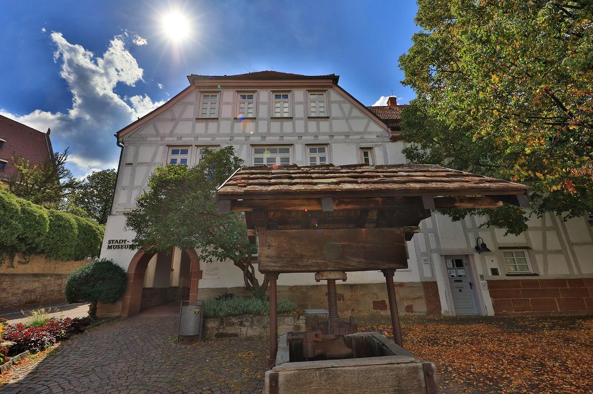 Sonnenblume Sonnenblume