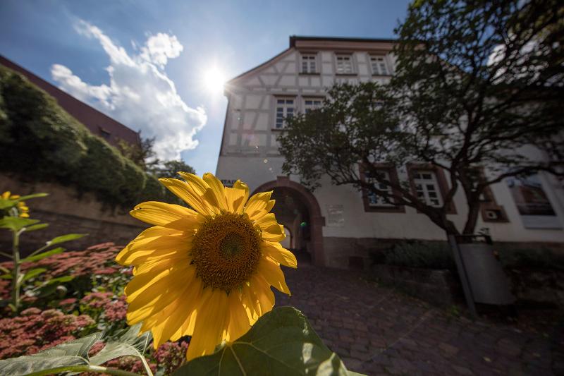 Stadtmuseum Gerlingen