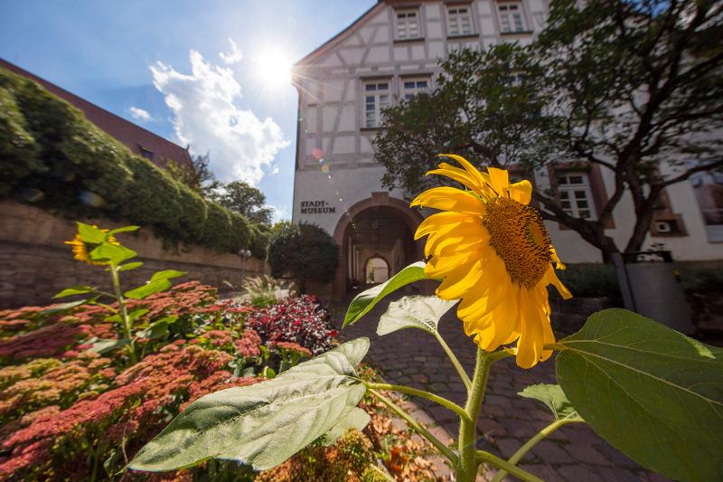 Stadtmuseum Gerlingen